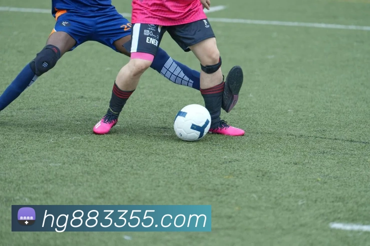 AI Risk Control